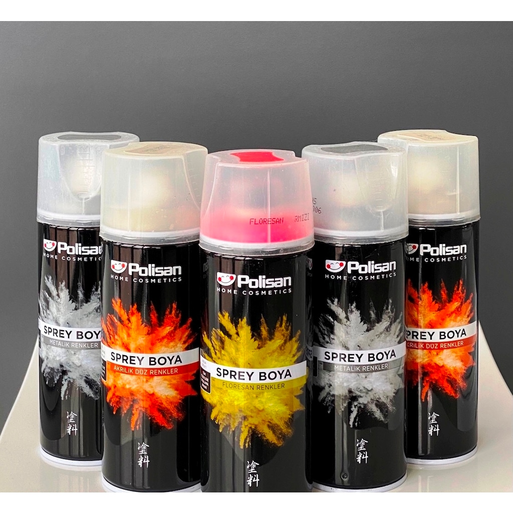 POLİSAN SPREY BOYA